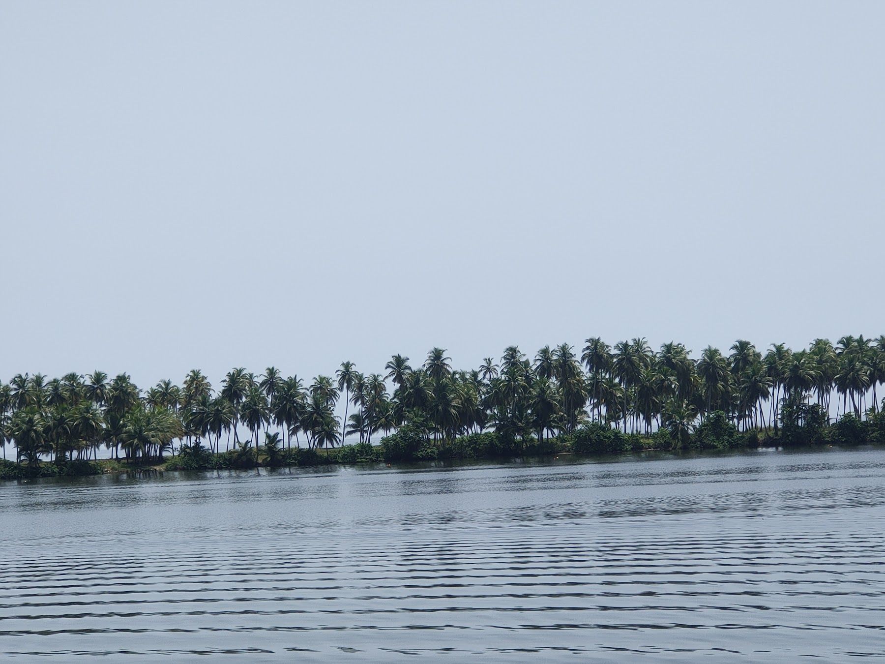 La lagune et sa rive de palmiers, vue depuis le jardin